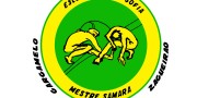 Capoeira курс